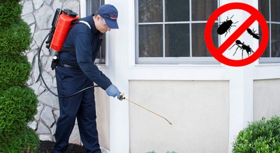 Bolvadin Akrep İlaçlama böcek ilaçlama ve haşere kontrolü — ilaclama-tr.com